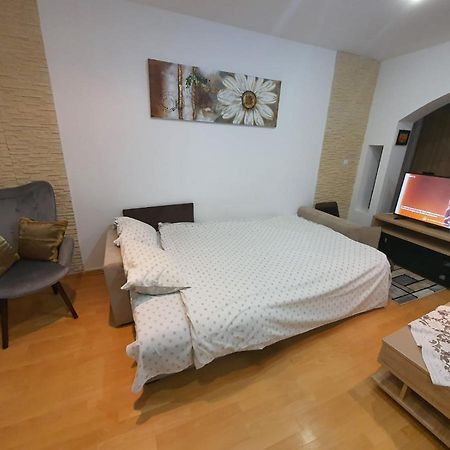 Monik Apartament سِنايا المظهر الخارجي الصورة