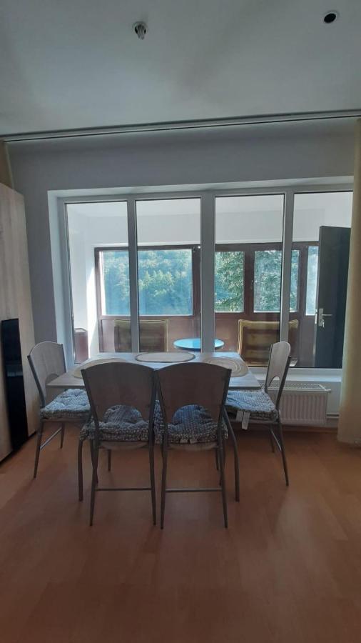 Monik Apartament سِنايا المظهر الخارجي الصورة