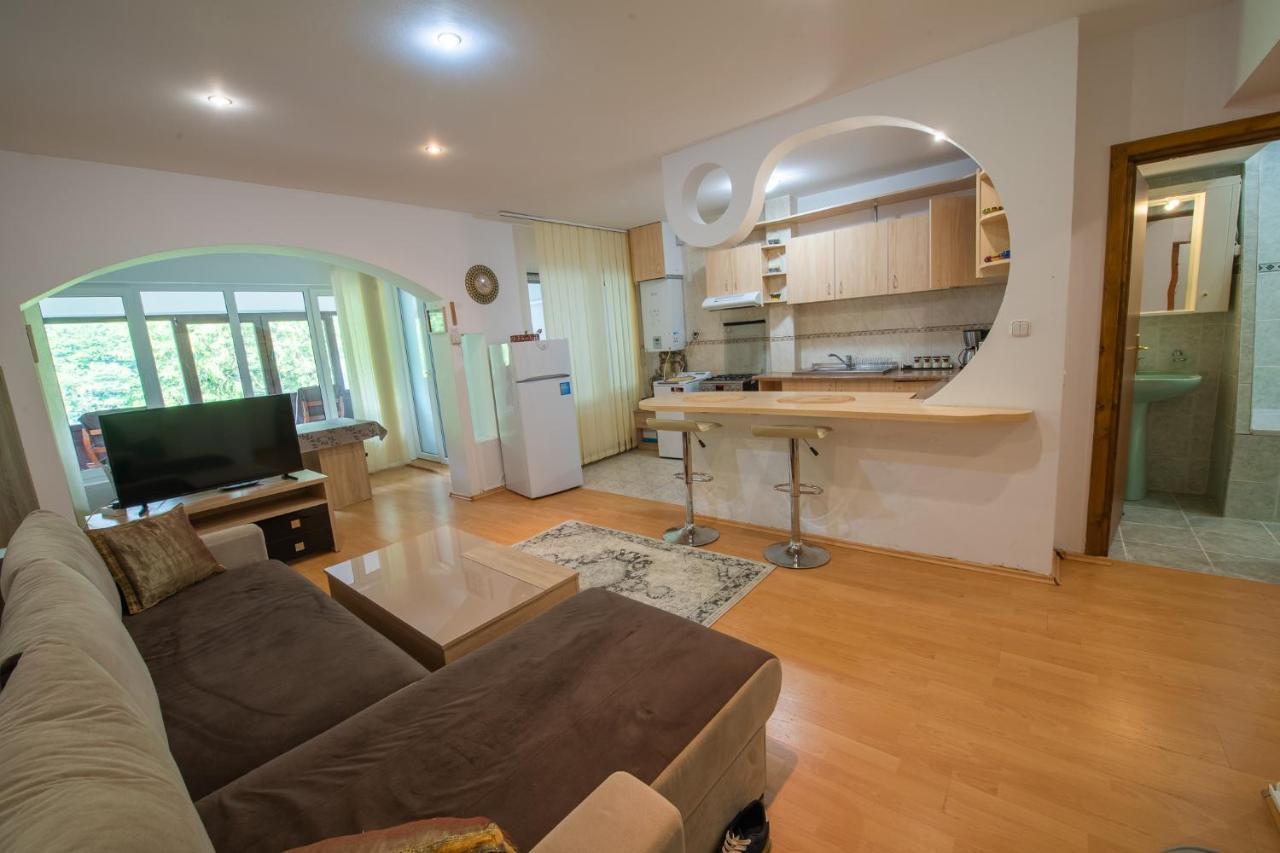 Monik Apartament سِنايا المظهر الخارجي الصورة
