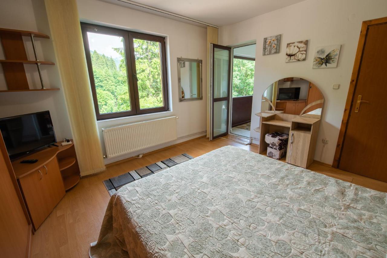 Monik Apartament سِنايا المظهر الخارجي الصورة