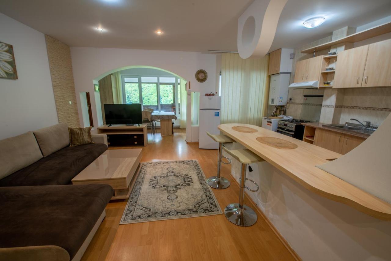 Monik Apartament سِنايا المظهر الخارجي الصورة