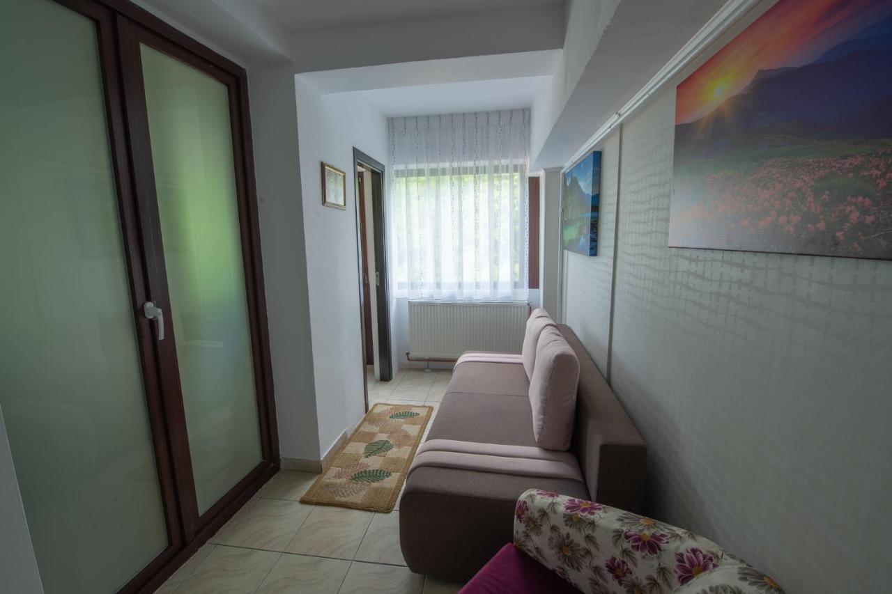 Monik Apartament سِنايا المظهر الخارجي الصورة