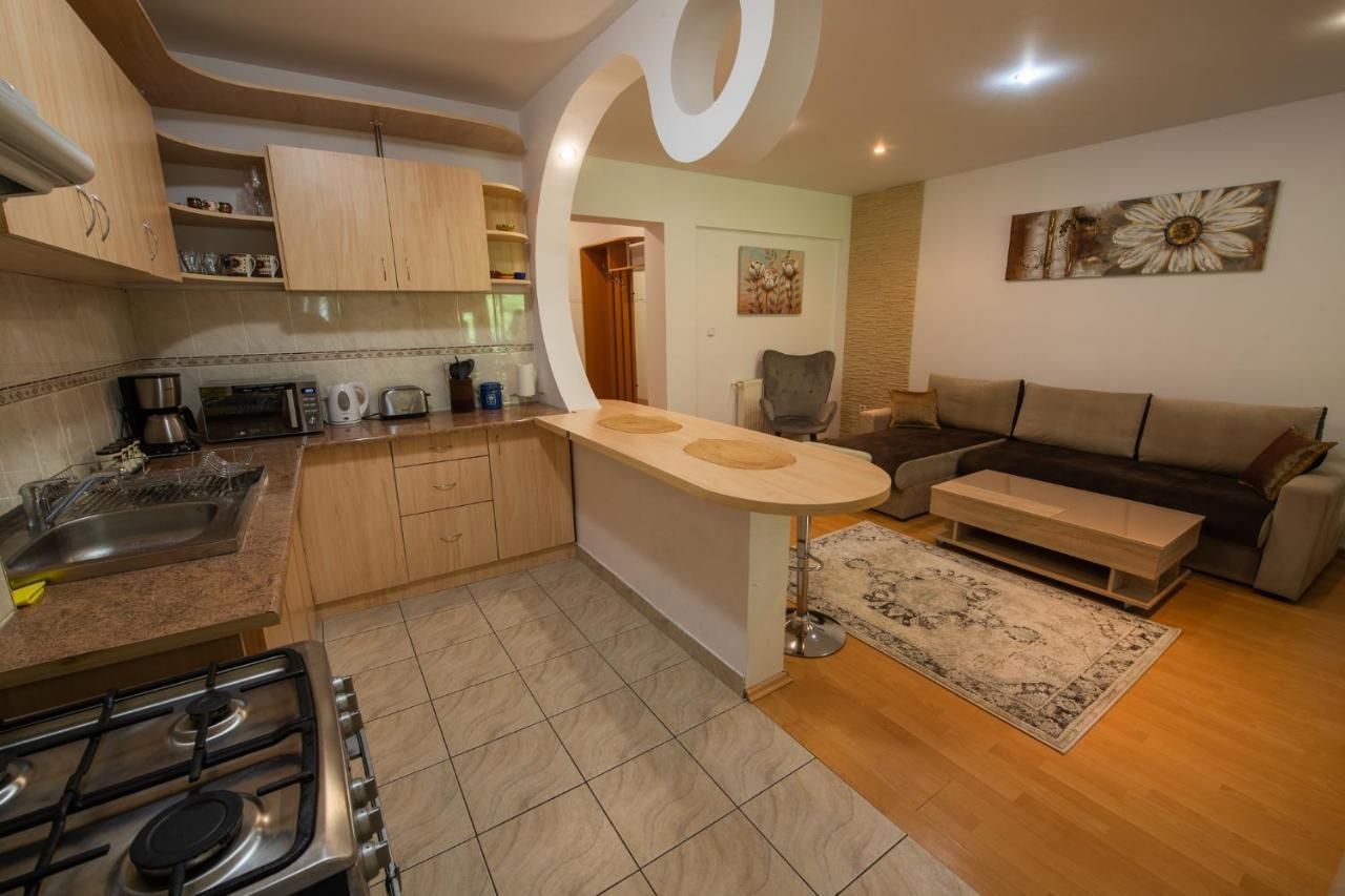 Monik Apartament سِنايا المظهر الخارجي الصورة