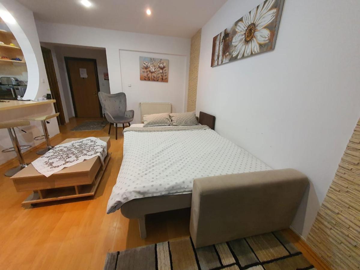 Monik Apartament سِنايا المظهر الخارجي الصورة